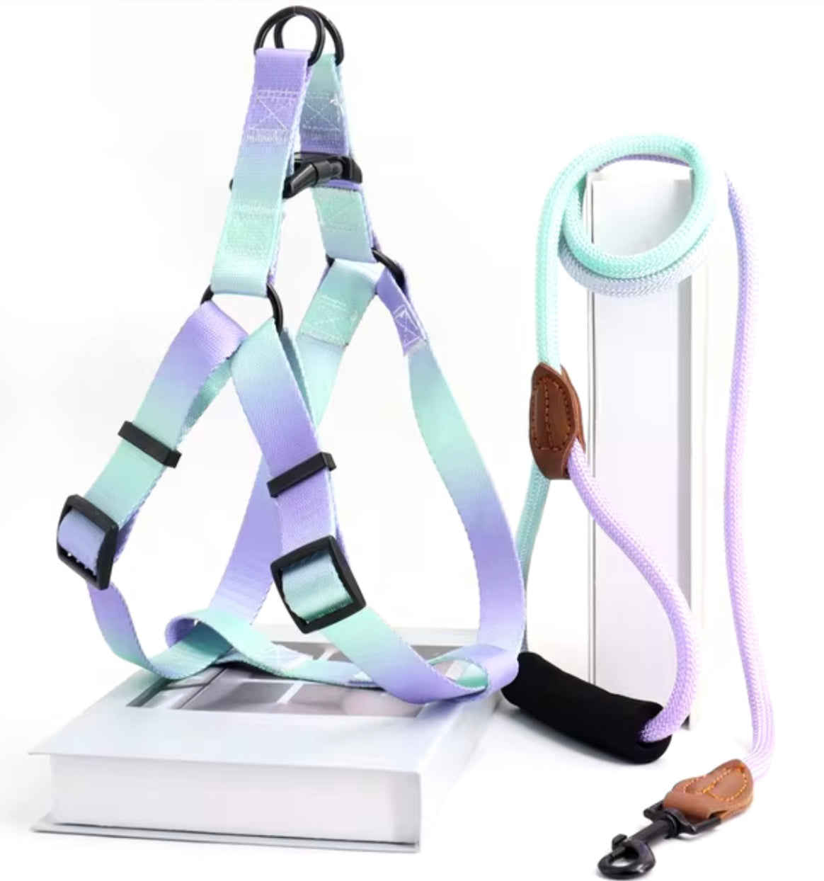 Harness & Leash Set